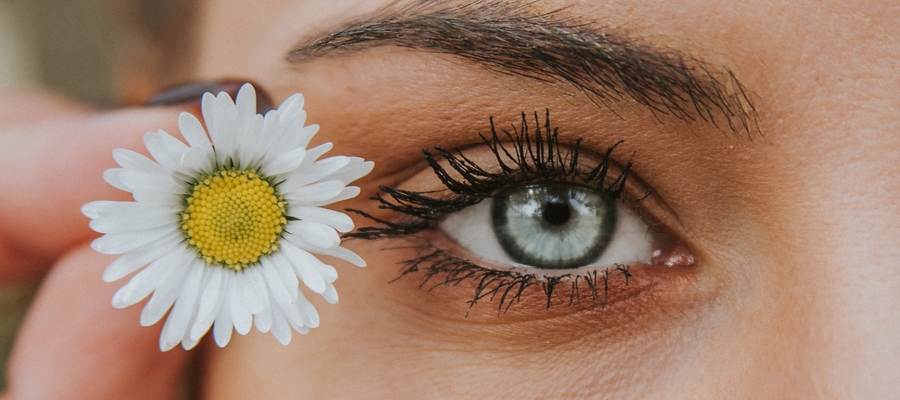 Eyebrow Tint Beauty Treatment